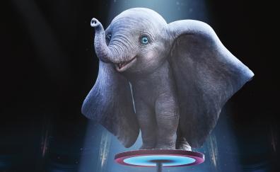 Dumbo, Elephant, animation movie, 2019