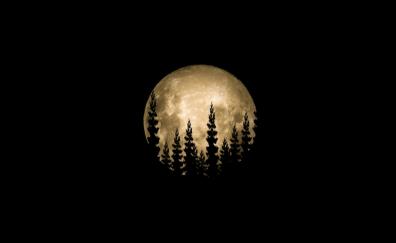 Minimal, full moon, trees