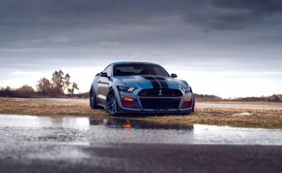 Blue Ford Mustang Shelby Gt500, 2023 car