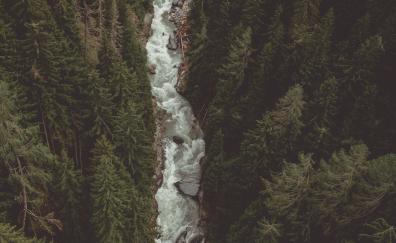 River, water stream, forest, nature, aerial view
