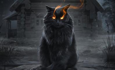Black cat, fire eyes, fantasy