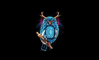 Blue Owl, dark, art