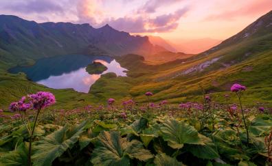 Mountains, lake, valley, pink flowers, valley, blossom