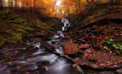Autumn, forest, water current, waterfall, nature
