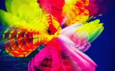Colorful, explosion, photography