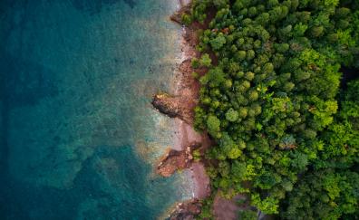 Drone shot, beach, coast, nature