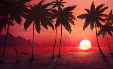 Sunset, tropical beach, relaxed, adorable, palm trees