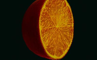 Half orange, fruit, close up
