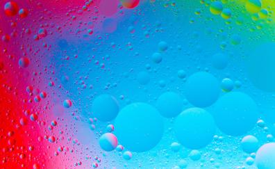 Bubbles, circles, colorful