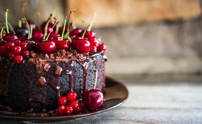 Cherries, chocolate, cake, food