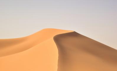 Desert, sand, dunes, landscape