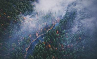 River, aerial view, forest, Yosemite valley