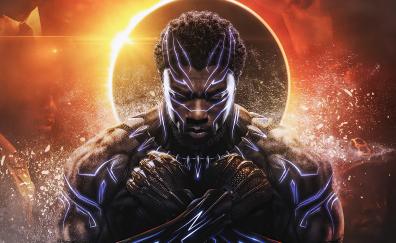 Black Panther, wakanda king, 2020
