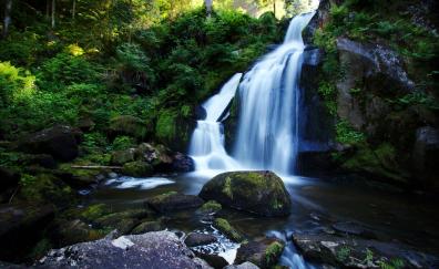 Rocks, forest, nature, waterfall