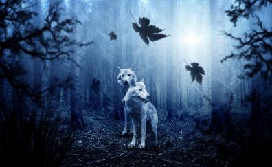 Wolf, predator, forest, wildlife