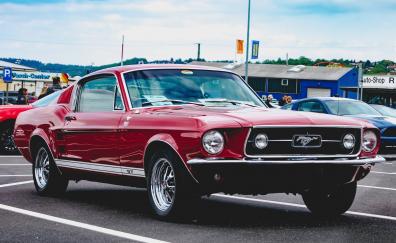 Red, classic, Ford Mustang, front
