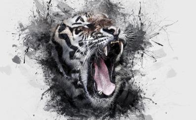 Art,  tiger, roar, muzzle
