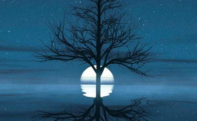 Moon set behind tree, reflections, lake, silhouette