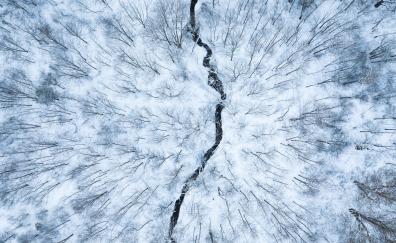 Aerial view, white forest, stream, winter