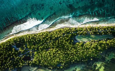 Aerial view, Maldives, nature, palm trees, coast