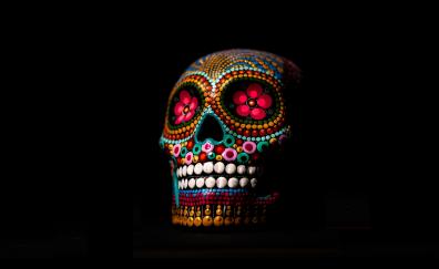 Skull, colorful, minimal, art