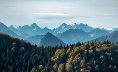 Adorable view, mountains and green trees, forest