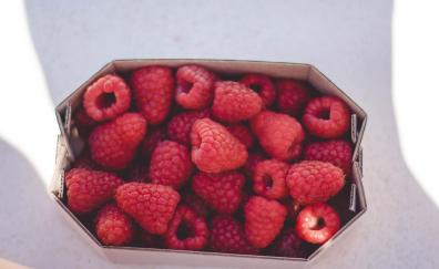 Raspberries, fruits, red, box