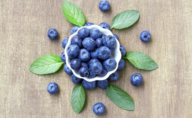 Fresh blueberry bowl, summer