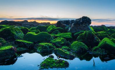 Coast, green rocks, sunset, nature