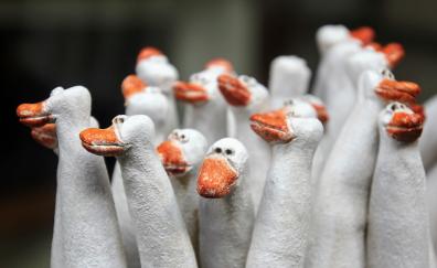 White ducks, bird, sculpture
