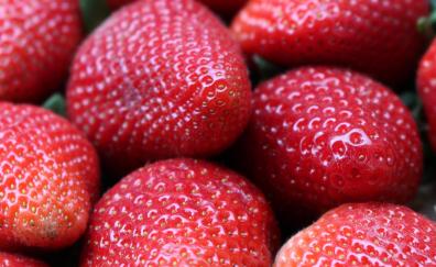Red fruits, strawberries, close up