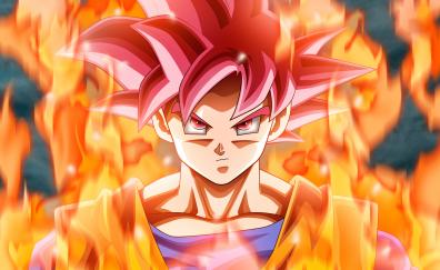 Goku, fire, dragon ball super, anime