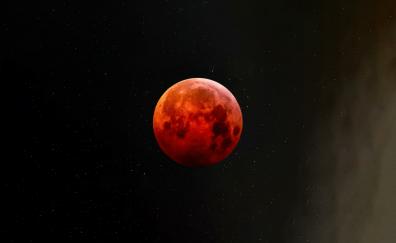 Full blood moon, night