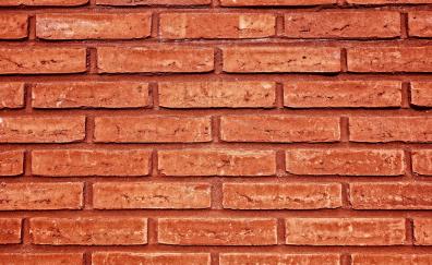 Bricks wall, texture, surface