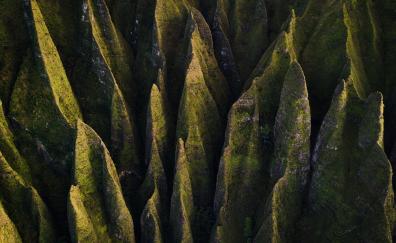 Rocks, moss, aerial view