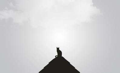 Silhouette, minimal, cat, rooftop