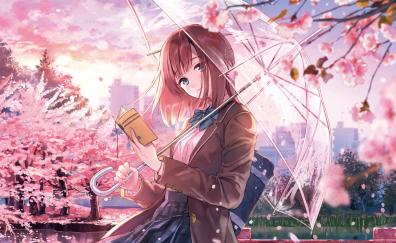 Blossom, anime girl, beautiful