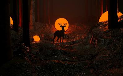 Deer, silhouette, dark night, forest
