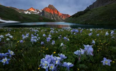 Mountains, sunset and lake, nature, meadow flowers