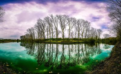Trees, lake, reflections