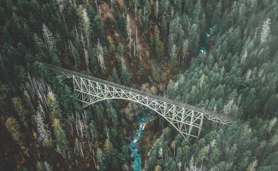 Bridge, forest, aerial view, nature
