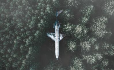 Airplane, forest, aerial view