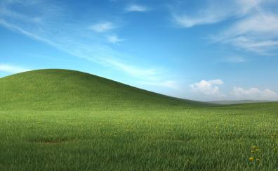 Meadow bliss, green grass, landscape, Microsoft Windows XP stock