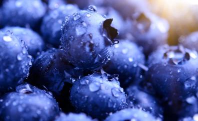 Blueberries, drops, macro
