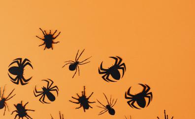 Halloween, black spiders wall stickers, minimal