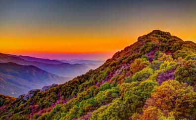 Sequoia National Park, sunset, hill, forest, horizon, nature