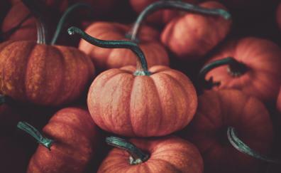 Halloween, pumpkin, fruits