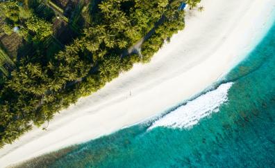 Adorable and exotic beach, aerial view, holiday
