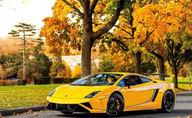 Lamborghini Gallardo, yellow sports car