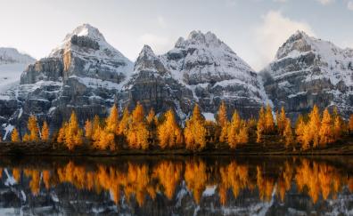 Golden trees, lake, mountains